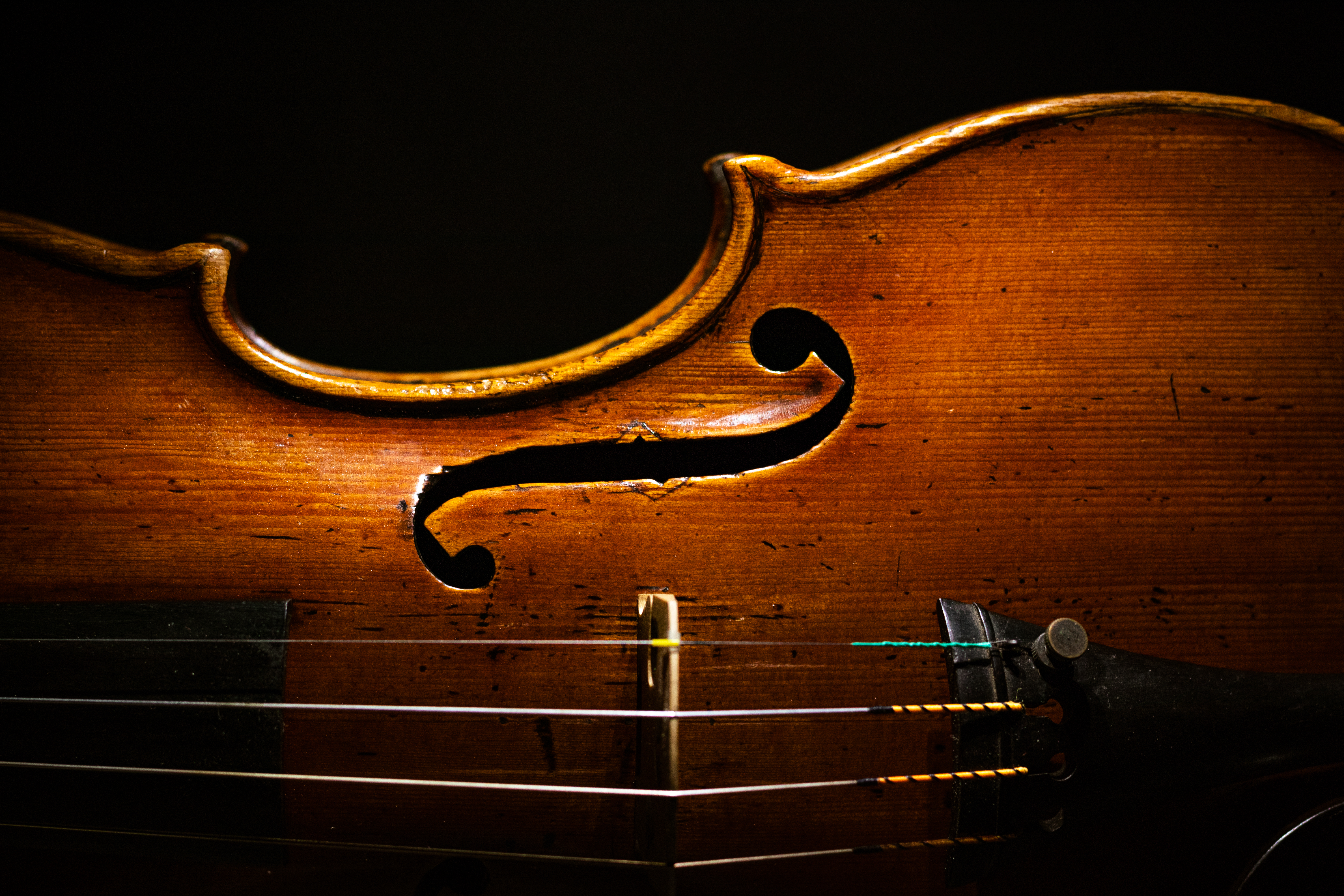 vIoLoN (1).jpg